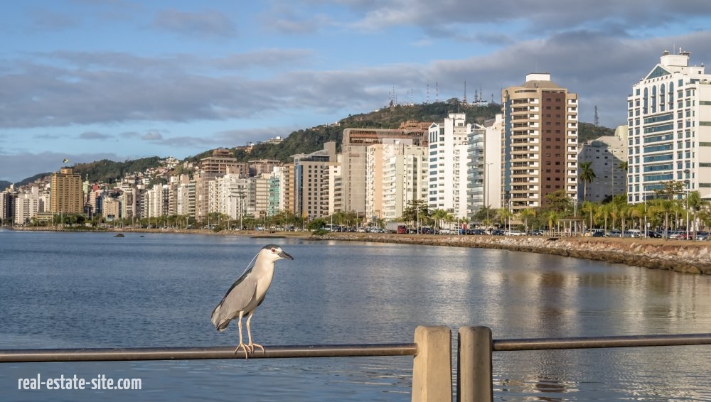 Evaluating the Profitability of Resort Real Estate in Florianopolis